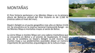 MONTAÑAS
El Pico Victoria pertenece a las Montes Maya y es la primera
altura de Belice,La altitud del Pico Victoria es de 1,160 M
(metros sobre el nivel del mar).
Doyle's Delight es el punto geográfico más alto en Belize (1124
m). Se encuentra en la reserva nacional Cockscomb Range - en
las Montes Maya ó montañas mayas al oeste de Belice.
La sierra Maya o montes Maya son una cadena montañosa que
se encuentra en Belice y el oriente de Guatemala. El mayor
pico de la cordillera es Doyle's Delight (1,124 msnm). Los
montes maya y sus piedemontes asociados alojan un número
importante de yacimientos arqueológicos de la cultura maya.
 