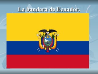 La bandera de Ecuador. 