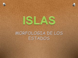 MORFOLOGIA DE LOS 
ESTADOS 
 