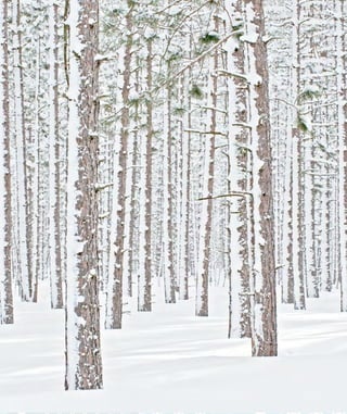 43 Portugal Business on the Way43 Portugal Business on the Way
 