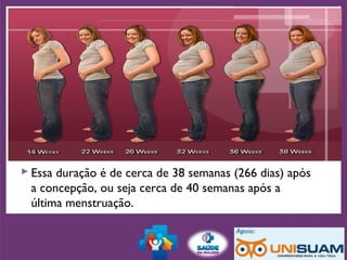 Pós - Natal
 Essa duração é de cerca de 38 semanas (266 dias) após
a concepção, ou seja cerca de 40 semanas após a
última menstruação.
 