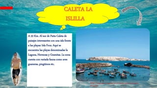 A 22 Km. Al sur de Paita Caleta de
paisajes interesantes con una isla frente
a las playas: Isla Foca. Aquí se
encuentra las playas denominadas la
Laguna, Hermosa y Gramitas. La zona
cuenta con variada fauna como aves
guaneras, pingüinos etc.
http://ncipiuraperu.blogspot.pe/2011/07/isla-foca-simbolo-de-la-riqueza-
del-mar.html
 