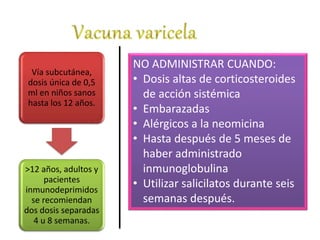 PAI vacunacion 