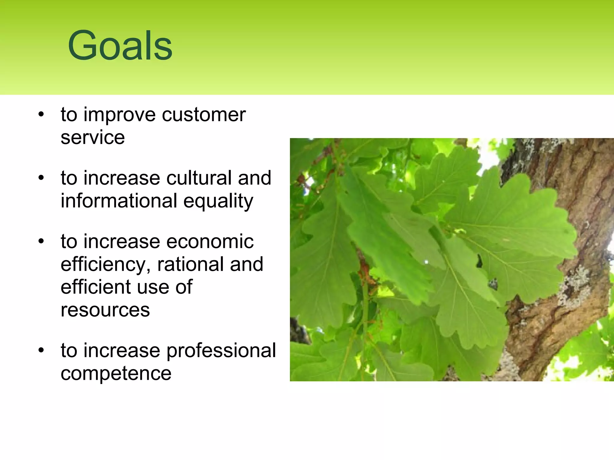 to improve customer service  to increase cultural and informational equality to increase economic efficiency, rational and efficient use of resources to increase professional competence  Goals 