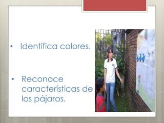 • Identifica colores.
• Reconoce
características de
los pájaros.