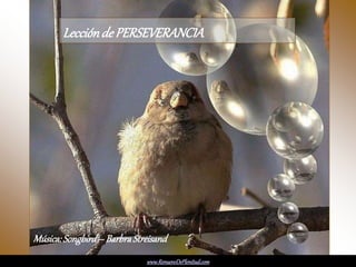LeccióndePERSEVERANCIA
Música:Songbird– BarbraStreisand
www.RenuevoDePlenitud.com
 