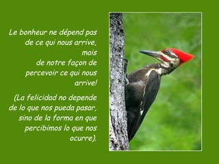 Le bonheur ne dépend pas de ce qui nous arrive, mais de notre façon de percevoir ce qui nous arrive! (La felicidad no depende de lo que nos pueda pasar, sino de la forma en que percibimos lo que nos ocurre). 