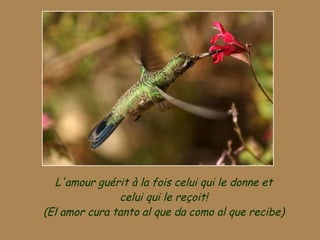 L'amour guérit à la fois celui qui le donne et celui qui le reçoit! (El amor cura tanto al que da como al que recibe) 