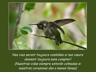 Nos vies seront toujours comblées si nos cœurs donnent toujours sans compter! (Nuestras vidas siempre estarán colmadas si nuestros corazones dan a manos llenas) 