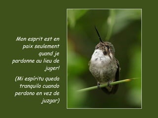 Mon esprit est en paix seulement quand je pardonne au lieu de juger! (Mi espíritu queda tranquilo cuando perdono en vez de juzgar) 