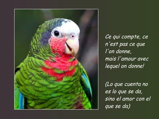 Ce qui compte, ce n'est pas ce que l'on donne, mais l'amour avec lequel on donne! (Lo que cuenta no es lo que se da, sino el amor con el que se da) 