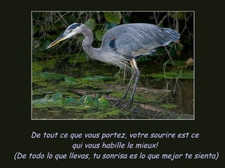 De tout ce que vous portez, votre sourire est ce qui vous habille le mieux!   (De todo lo que llevas, tu sonrisa es lo que mejor te sienta)  