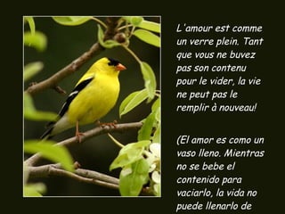L'amour est comme un verre plein. Tant que vous ne buvez pas son contenu pour le vider, la vie ne peut pas le remplir à nouveau! (El amor es como un vaso lleno. Mientras no se bebe el contenido para vaciarlo, la vida no puede llenarlo de nuevo) 