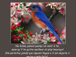 Ne laisse jamais quelqu'un venir à toi, sans qu'il te quitte meilleur et plus heureux! (No permitas jamás que alguien llegue a ti sin dejarle ir mejor y más feliz)  