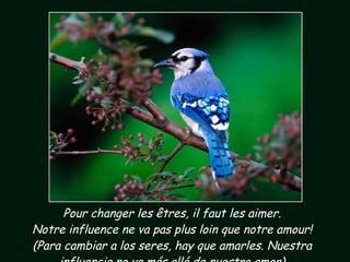 Pour changer les êtres, il faut les aimer. Notre influence ne va pas plus loin que notre amour! (Para cambiar a los seres, hay que amarles. Nuestra influencia no va más allá de nuestro amor) 