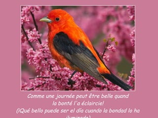 Comme une journée peut être belle quand la bonté l'a éclaircie! (¡Qué bello puede ser el día cuando la bondad lo ha iluminado) 