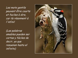 Les mots gentils peuvent être courts et faciles à dire, car ils résonnent à l'infini! (Las palabras amables pueden ser cortas y fáciles de decir, ya que resuenan hasta el infinito) 
