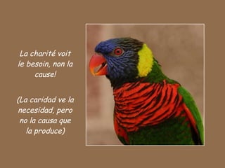 La charité voit le besoin, non la cause! (La caridad ve la necesidad, pero no la causa que la produce) 