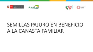 SEMILLAS PAJURO EN BENEFICIO
A LA CANASTA FAMILIAR
 
