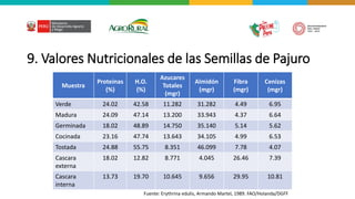 9. Valores Nutricionales de las Semillas de Pajuro
Muestra
Proteínas
(%)
H.O.
(%)
Azucares
Totales
(mgr)
Almidón
(mgr)
Fibra
(mgr)
Cenizas
(mgr)
Verde 24.02 42.58 11.282 31.282 4.49 6.95
Madura 24.09 47.14 13.200 33.943 4.37 6.64
Germinada 18.02 48.89 14.750 35.140 5.14 5.62
Cocinada 23.16 47.74 13.643 34.105 4.99 6.53
Tostada 24.88 55.75 8.351 46.099 7.78 4.07
Cascara
externa
18.02 12.82 8.771 4.045 26.46 7.39
Cascara
interna
13.73 19.70 10.645 9.656 29.95 10.81
Fuente: Erythrina edulis, Armando Martel, 1989. FAO/Holanda/DGFF
 