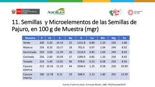 11. Semillas y Microelementos de las Semillas de
Pajuro, en 100 g de Muestra (mgr)
Muestra P Fe S Na K Cu Mn Mg Ca
Verde 200 5.20 14.19 25 1141.8 0.80 1.20 230 2.68
Madura 256 8.20 10.17 18 762.6 0.97 1.04 249 8.92
Germinada 250 3.00 12.29 26 1510.0 0.85 1.04 249 8.93
Cocinada 256 2.60 10.59 17 1289.0 0.85 1.20 250 8.92
Tostada 224 5.40 13.81 96 978.0 0.25 0.58 250 8.93
Cascara
externa
212 10.16 11.19 44 2506.0 1.25 0.58 250 29.90
Cascara
interna
180 13.78 9.15 29 698.0 2.15 1.80 202 13.39
Fuente: Erythrina edulis, Armando Martel, 1989. FAO/Holanda/DGFF
 