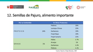 12. Semillas de Pajuro, alimento importante
Por su Contenido: En Otros Productos:
P R O T E I C O 24%
Pallares 20%
Lentejas Chinas 23%
Garbanzos 19%
Frejol Bayo 19%
Frejol Canario 21%
G R A S A 1%
Habas 1.7%
Arvejas 1%
Garbanzos 1.2%
Pallares 1.1%
Fuente: Reynel y Felipe Morales, 1987
 