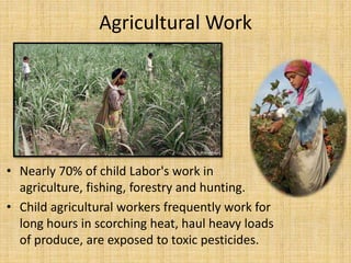 Agricultural Work
• Nearly 70% of child Labor's work in
agriculture, fishing, forestry and hunting.
• Child agricultural workers frequently work for
long hours in scorching heat, haul heavy loads
of produce, are exposed to toxic pesticides.
 