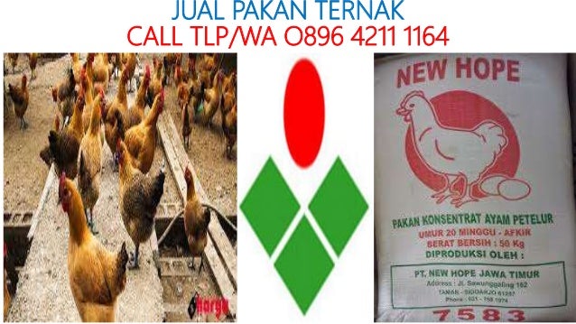 Terbaru Bw 1 Br Pakan Ayam Ternak Voer Ayam Pedaging Br Kiloan Shopee Indonesia
