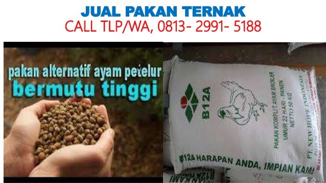 Pakan Ayam Broiler Broilerku
