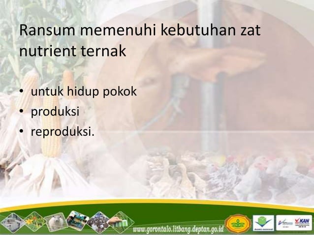 Pakan_Ruminansia.pptx