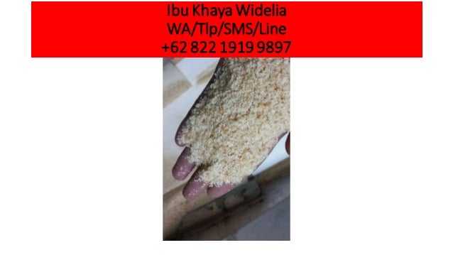 Wa 62 822 1919 9897 Distributor Produsen Home Industri Suplier P