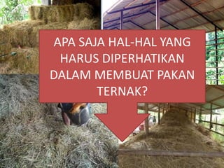 APA SAJA HAL-HAL YANG
HARUS DIPERHATIKAN
DALAM MEMBUAT PAKAN
TERNAK?
 