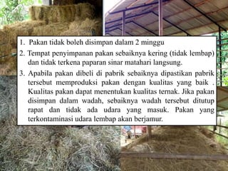 1. Pakan tidak boleh disimpan dalam 2 minggu
2. Tempat penyimpanan pakan sebaiknya kering (tidak lembap)
dan tidak terkena paparan sinar matahari langsung.
3. Apabila pakan dibeli di pabrik sebaiknya dipastikan pabrik
tersebut memproduksi pakan dengan kualitas yang baik .
Kualitas pakan dapat menentukan kualitas ternak. Jika pakan
disimpan dalam wadah, sebaiknya wadah tersebut ditutup
rapat dan tidak ada udara yang masuk. Pakan yang
terkontaminasi udara lembap akan berjamur.
 