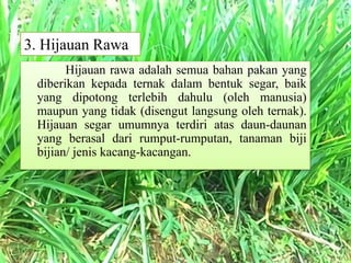 3. Hijauan Rawa
Hijauan rawa adalah semua bahan pakan yang
diberikan kepada ternak dalam bentuk segar, baik
yang dipotong terlebih dahulu (oleh manusia)
maupun yang tidak (disengut langsung oleh ternak).
Hijauan segar umumnya terdiri atas daun-daunan
yang berasal dari rumput-rumputan, tanaman biji
bijian/ jenis kacang-kacangan.
 