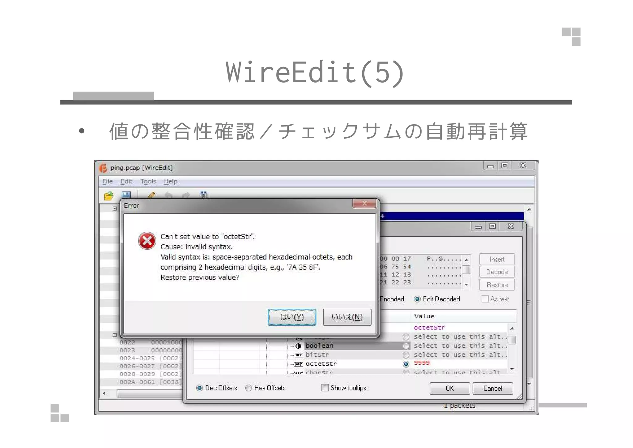 WireEdit(5) 
• 値の整合性確認／チェックサムの自動再計算 
 