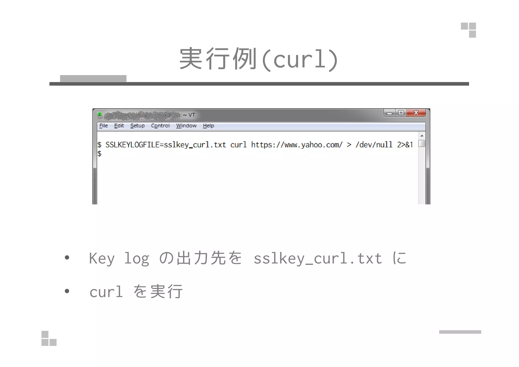 実行例(Linux/curl)
• Key log の出力先を sslkey_curl.txt に
• curl を実行
 