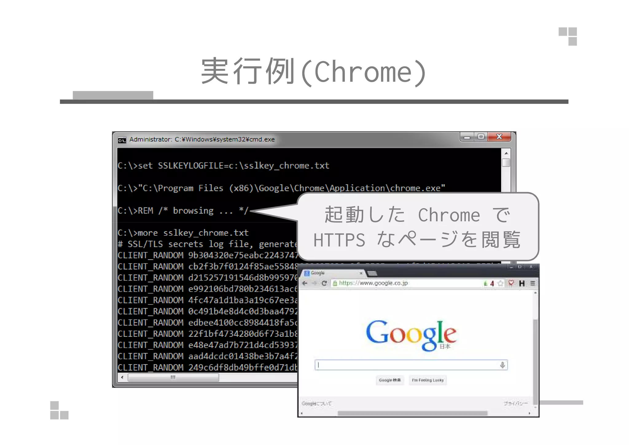 実行例(Win/Chrome)
起動した Chrome で起動した Chrome で
HTTPS なページを閲覧
 