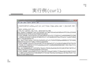 実行例(Linux/curl)
 