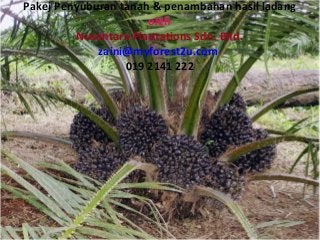 Pakej Penyuburan tanah & penambahan hasil ladang
oleh
Nusantara Plantations Sdn. Bhd.
zaini@myforest2u.com
019 2141 222
 