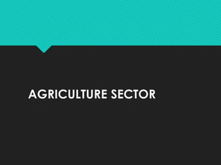 AGRICULTURE SECTOR
 