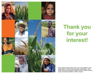 Understanding gender in wheat-based livelihoods for enhanced WHEAT R4D impact in Afghanistan, Pakistan and Ethiopia