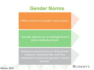 Understanding gender in wheat-based livelihoods for enhanced WHEAT R4D impact in Afghanistan, Pakistan and Ethiopia