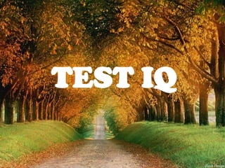 TEST IQ
 