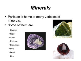 Natural Resources in Pakistan | PPT