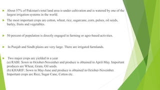  About 57% of Pakistan's total land area is under cultivation and is watered by one of the
largest irrigation systems in the world.
 The most important crops are cotton, wheat, rice, sugarcane, corn, pulses, oil seeds,
barley, fruits and vegetables.
 50 percent of population is directly engaged in farming or agro-based activities.
 In Punjab and Sindh plains are very large. There are irrigated farmlands.
 Two major crops are yielded in a year
(a) RABI: Sown in October-November and produce is obtained in April-May. Important
produces are Wheat, Gram, Oil seeds.
(b) KHARIF: Sown in May-June and produce is obtained in October-November.
Important crops are Rice, Sugar Cane, Cotton etc.
 