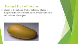 National Fruit of Pakistan
 Mango is the national fruit of Pakistan. Mango is
indigenous to sub-continent. There are different kinds
and varieties of mangoes.
 