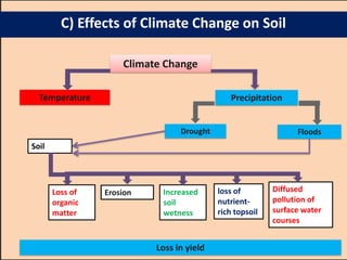 Climate Change
Temperature
Floods
Precipitation
Drought
Soil
Loss of
organic
matter
Erosion Diffused
pollution of
surface water
courses
loss of
nutrient-
rich topsoil
Increased
soil
wetness
C) Effects of Climate Change on Soil
Loss in yield
 