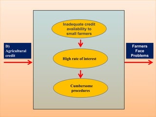 Inadequate credit
availability to
small farmers
High rate of interest
Cumbersome
procedures
D)
Agricultural
credit
Farmers
Face
Problems
 