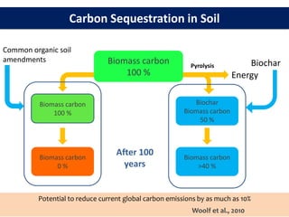 Carbon Sequestration in Soil
Biomass carbon
100 %
Biomass carbon
100 %
Biochar
Biomass carbon
50 %
Biomass carbon
0 %
Biomass carbon
>40 %
Energy
After 100
years
Common organic soil
amendments Biochar
Potential to reduce current global carbon emissions by as much as 10%
Woolf et al., 2010
Pyrolysis
 
