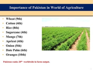 Importance of Pakistan in World of Agriculture
• Wheat (9th)
• Cotton (4th)
• Rice (8th)
• Sugarcane (4th)
• Mango (7th)
• Apricot (4th)
• Onion (5th)
• Date Palm (6th)
• Oranges (10th)
Pakistan ranks 20th worldwide in farm output.
3
 